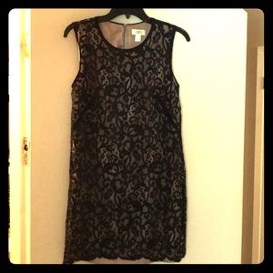 Black lace dress with nude in-seem. Size 6